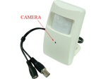 High Resolution Sony CCD Motion Detector Style High Resolution Color Camera